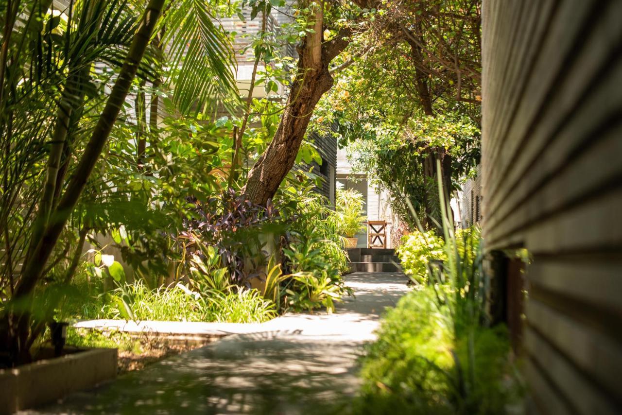 Отель Nardazul "Casa De Suenos" Oaxaca Экстерьер фото